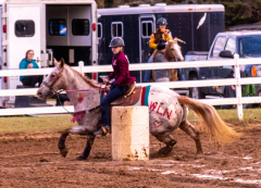 9-25-Horse-Meet-at-Milford-225