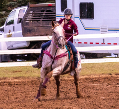 9-25-Horse-Meet-at-Milford-226