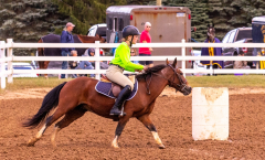 9-25-Horse-Meet-at-Milford-244