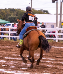 9-25-Horse-Meet-at-Milford-252