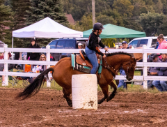 9-25-Horse-Meet-at-Milford-253