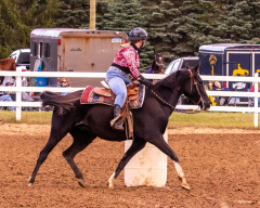 9-25-Horse-Meet-at-Milford-264