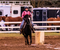 9-25-Horse-Meet-at-Milford-266