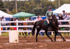 9-25-Horse-Meet-at-Milford-270