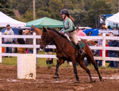 9-25-Horse-Meet-at-Milford-278