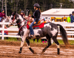 9-25-Horse-Meet-at-Milford-299