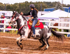 9-25-Horse-Meet-at-Milford-301