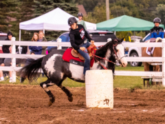 9-25-Horse-Meet-at-Milford-302