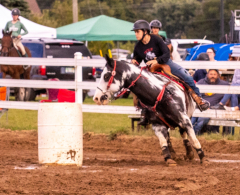 9-25-Horse-Meet-at-Milford-303