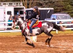 9-25-Horse-Meet-at-Milford-305