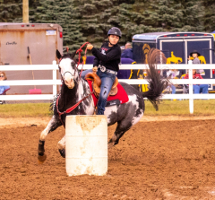 9-25-Horse-Meet-at-Milford-306