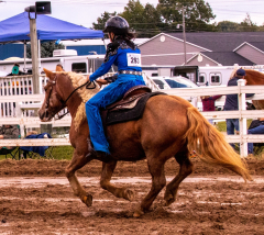 9-25-Horse-Meet-at-Milford-323