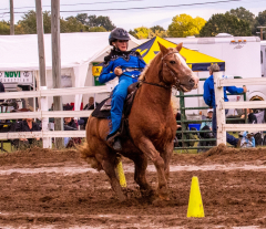 9-25-Horse-Meet-at-Milford-325