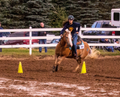 9-25-Horse-Meet-at-Milford-330