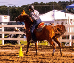 9-25-Horse-Meet-at-Milford-334