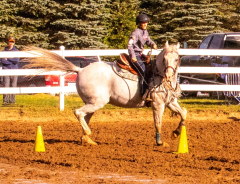 9-25-Horse-Meet-at-Milford-351