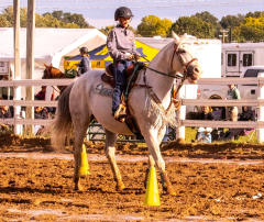 9-25-Horse-Meet-at-Milford-355