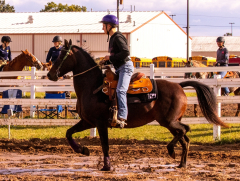 9-25-Horse-Meet-at-Milford-360