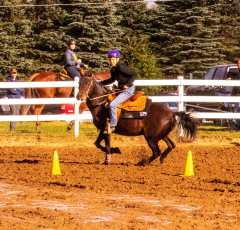 9-25-Horse-Meet-at-Milford-362