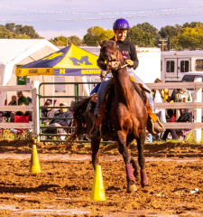 9-25-Horse-Meet-at-Milford-365