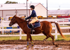 9-25-Horse-Meet-at-Milford-366