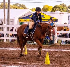 9-25-Horse-Meet-at-Milford-371