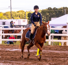 9-25-Horse-Meet-at-Milford-372