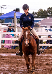 9-25-Horse-Meet-at-Milford-381