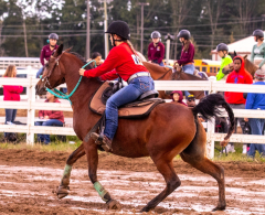 9-25-Horse-Meet-at-Milford-386