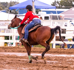 9-25-Horse-Meet-at-Milford-387