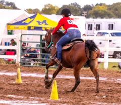 9-25-Horse-Meet-at-Milford-388