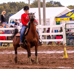 9-25-Horse-Meet-at-Milford-394