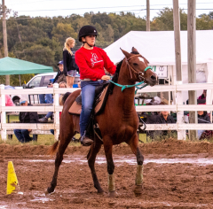 9-25-Horse-Meet-at-Milford-395