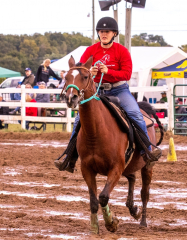 9-25-Horse-Meet-at-Milford-397