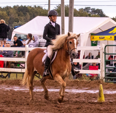 9-25-Horse-Meet-at-Milford-402