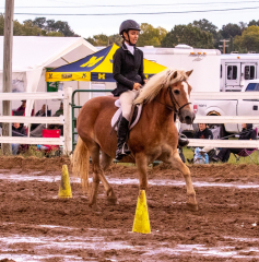 9-25-Horse-Meet-at-Milford-403