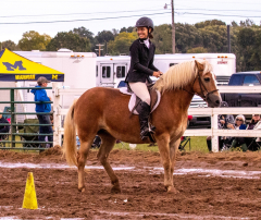 9-25-Horse-Meet-at-Milford-404