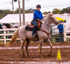 9-25-Horse-Meet-at-Milford-413