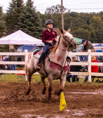 9-25-Horse-Meet-at-Milford-429
