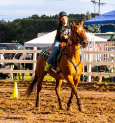 9-25-Horse-Meet-at-Milford-450
