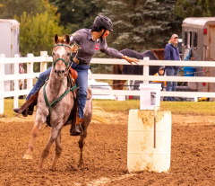 9-25-Horse-Meet-at-Milford-46