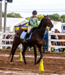 9-25-Horse-Meet-at-Milford-461