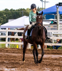 9-25-Horse-Meet-at-Milford-462