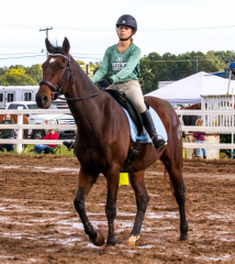 9-25-Horse-Meet-at-Milford-463