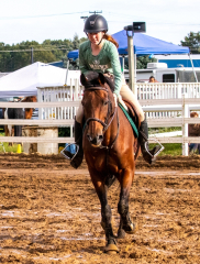 9-25-Horse-Meet-at-Milford-470