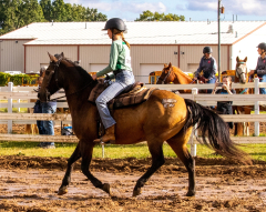 9-25-Horse-Meet-at-Milford-472