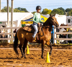 9-25-Horse-Meet-at-Milford-475