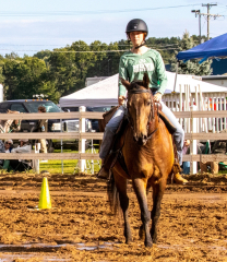 9-25-Horse-Meet-at-Milford-476