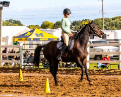 9-25-Horse-Meet-at-Milford-479