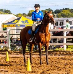 9-25-Horse-Meet-at-Milford-493